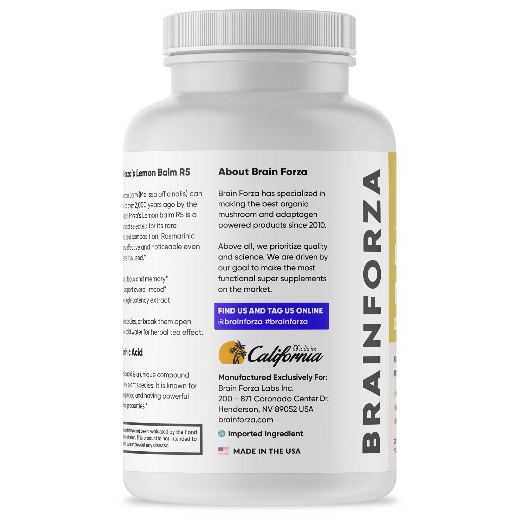 Lemon Balm R5 Extract, 90 Capsules
