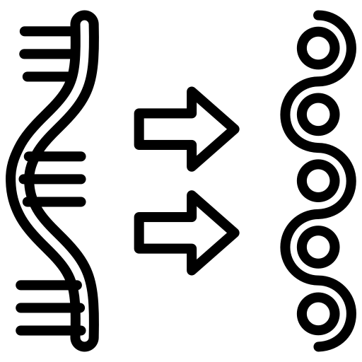 Type I & III Peptides