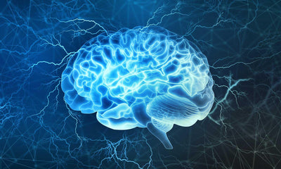 5 Habits to Boost Brain Health