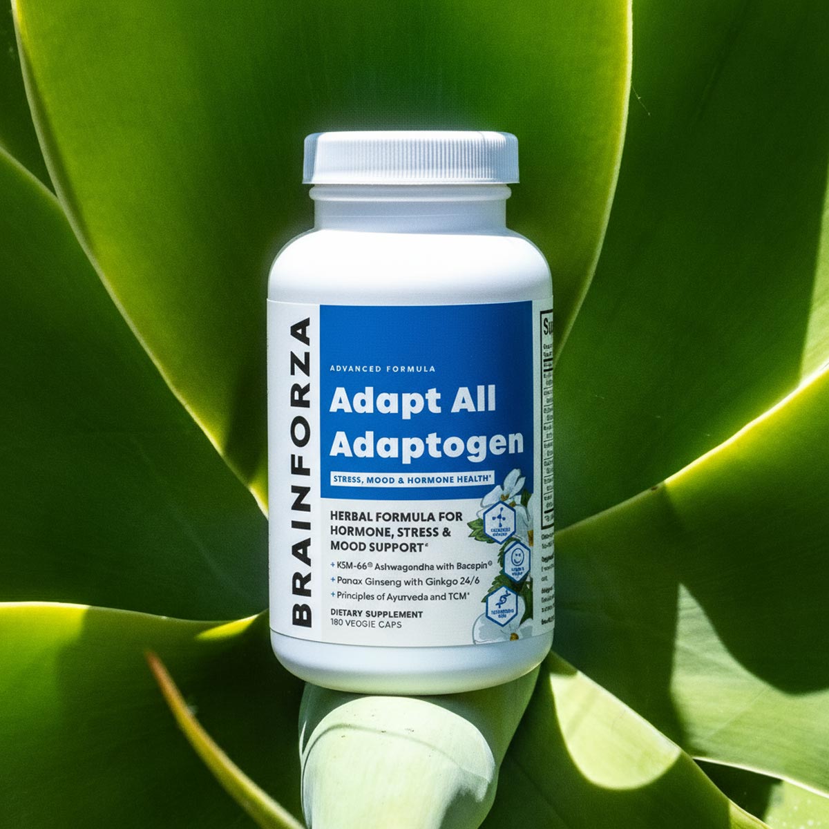 Adaptogens & Extracts