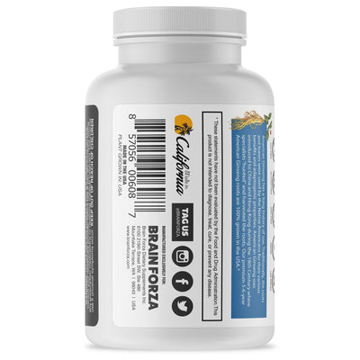 Brain Forza Wisconsin American Ginseng Root