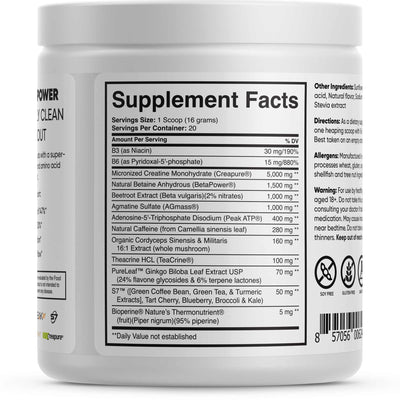 Brain Forza Potenza Natural Pre Workout Peak ATP Agmatine, BetaPower Ginkgo TeaCrine Cordyceps Mushroom 20 Servings Natural