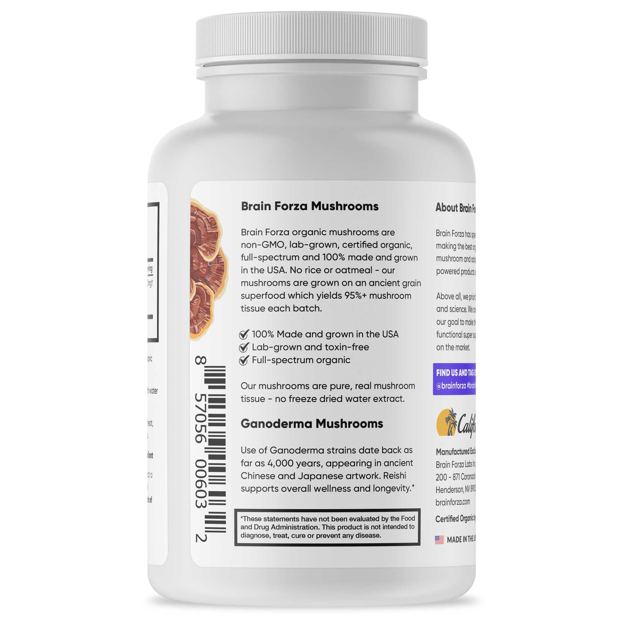 Brain Forza Organic Red Reishi Mushroom Blend Stronger Than Extract USA Made, 90 Capsules